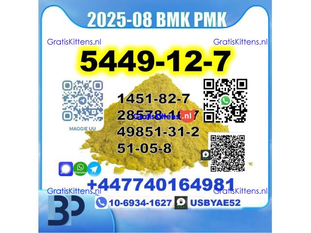 New BMK 5449-12-7 Glycidic PMK factory safe delivery