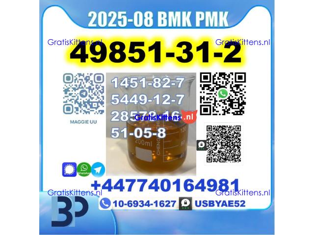 2-Bromovalerophenone 49851-31-2 BK4 2B4M BMK PMK Factory