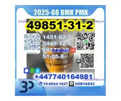 2-Bromovalerophenone 49851-31-2 BK4 2B4M BMK PMK Factory