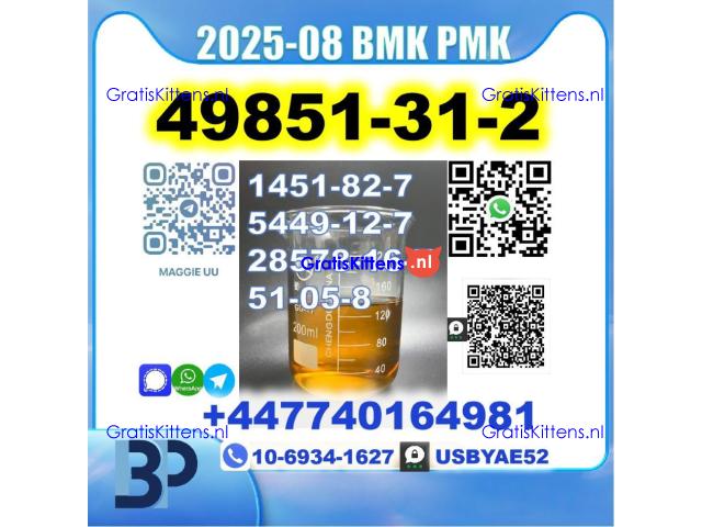 2-Bromovalerophenone 49851-31-2 BK4 2B4M BMK PMK Factory