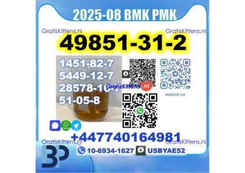 2-Bromovalerophenone 49851-31-2 bmk pmk Source Factory