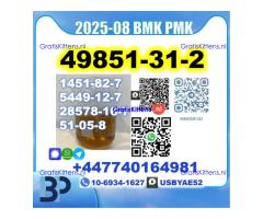 2-Bromovalerophenone 49851-31-2 bmk pmk Source Factory