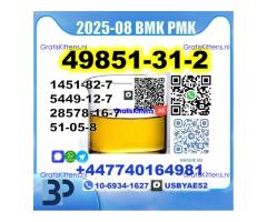 2-Bromovalerophenone 49851-31-2 bmk pmk Source Factory