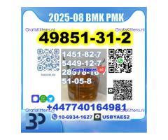 2-Bromovalerophenone 49851-31-2 bmk pmk Source Factory