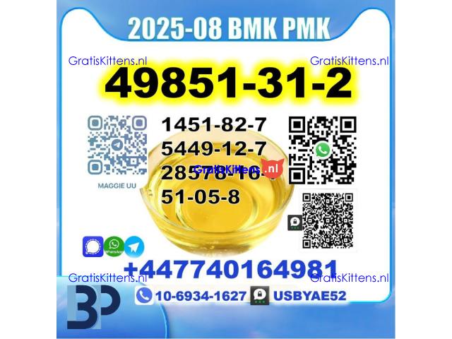 2-Bromo-1-Phenyl-Pentan-1-One 49851-31-2 pmk 28578-16-7 Source Factory