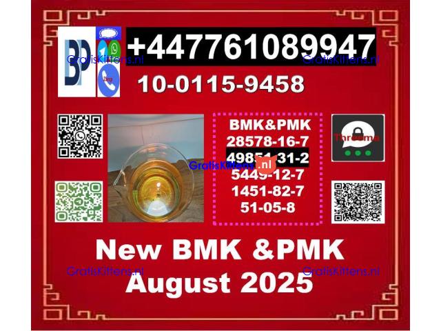 2-Bromovalerophenone 49851-31-2 BMK 5449-12-7 & PMK 28578-16-7