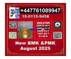 2-Bromovalerophenone 49851-31-2 BMK 5449-12-7 & PMK 28578-16-7