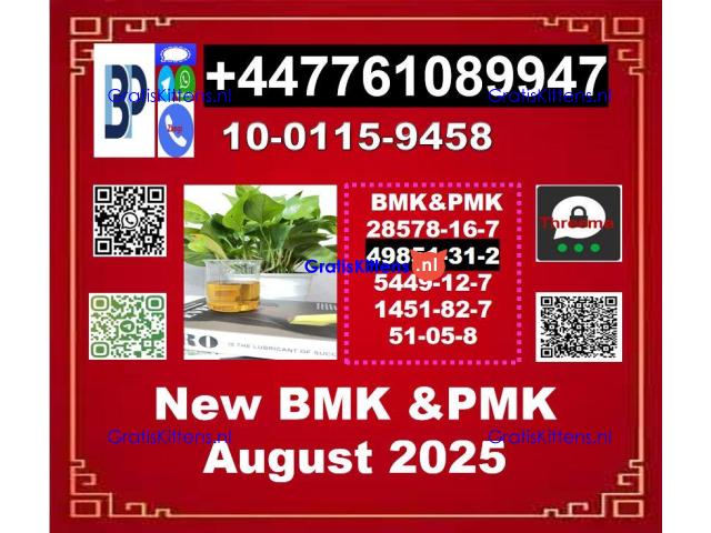 2-Bromovalerophenone 49851-31-2 BMK 5449-12-7 & PMK 28578-16-7