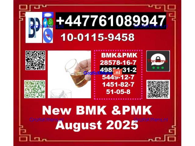 2-Bromovalerophenone 49851-31-2 BMK 5449-12-7 & PMK 28578-16-7