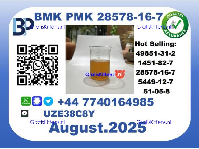 BMK PMK，CAS 28578-16-7-Precision-Sourced for Industry