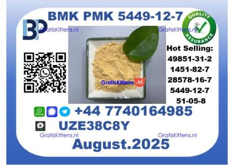 BMK PMK, CAS 5449-12-7-Precision-Sourced for Industry