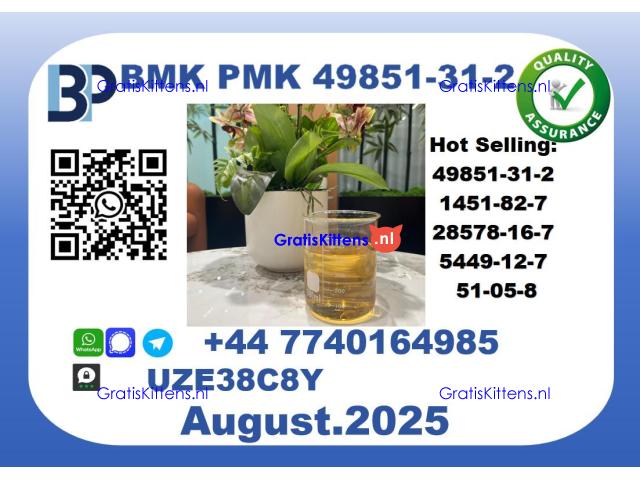 BMK PMK, CAS 49851-31-2 Precision-Sourced for Industry