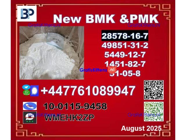 pmk powder or pmk oil with good quality & BMK 5449-12-7 & PMK 28578-16-7