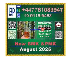 2-Bromovalerophenone 49851-31-2,BMK 5449-12-7 & PMK 28578-16-7