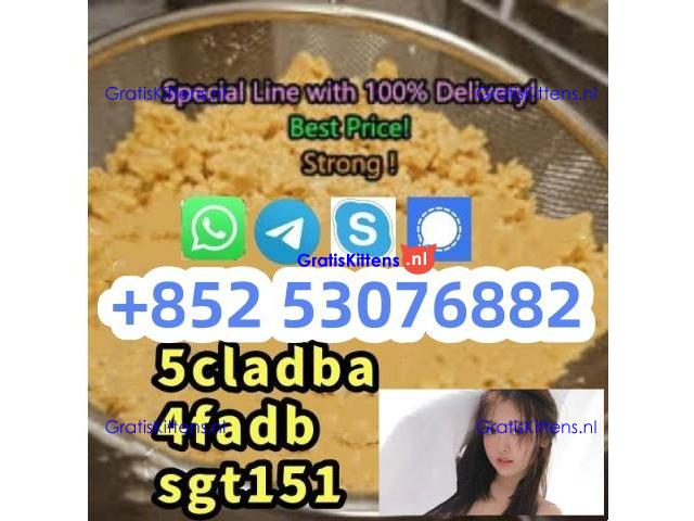 High quality 4f-adba 4cl-adb 5cl-adba 5f-mdma 5cl-adbb 2cladb 2f-dck apvp appp