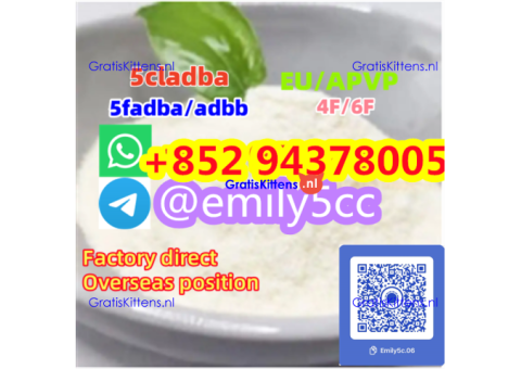 1451-83-8 bk4 1451-82-7 2b4m f5 High qualiyt in stock,
