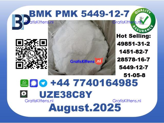 BMK PMK, CAS 5449-12-7-Precision-Sourced for Industry
