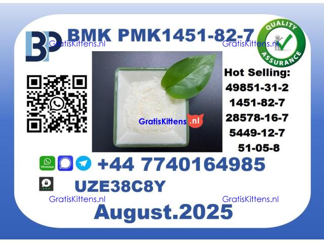 BMK PMK factory,CAS 1451-82-7