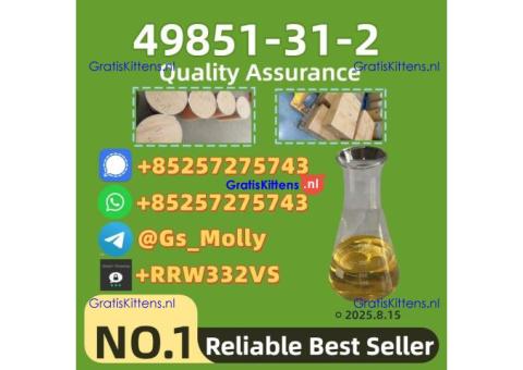 49851-31-2 Chemical Intermediate  | 99% Pure | Fast Shipping