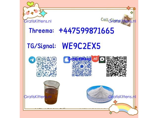 PMK 28578-16-7 BMK Powder CAS 5449-12-7