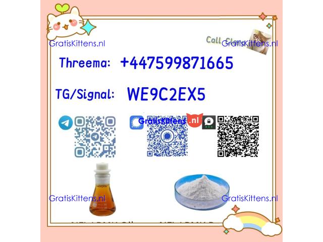 PMK 28578-16-7 BMK Powder CAS 5449-12-7
