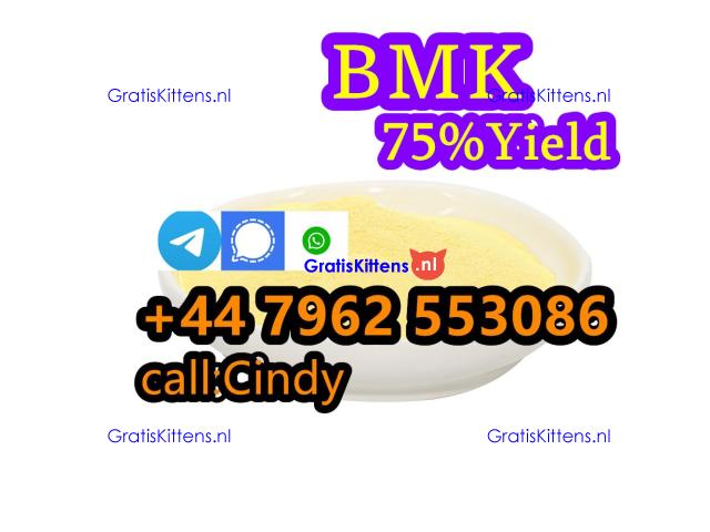 High quality 99% CAS 5449-12-7 BMK Glycidic Acid Sodium Salt Powder