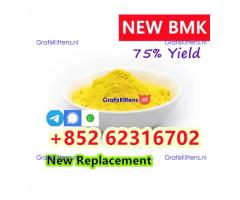 High quality 99% CAS 5449-12-7 BMK Glycidic Acid Sodium Salt Powder