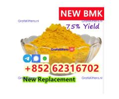 High quality 99% CAS 5449-12-7 BMK Glycidic Acid Sodium Salt Powder