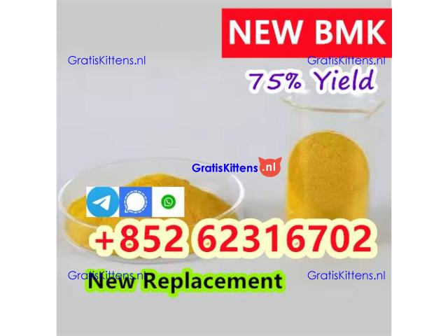High quality 99% CAS 5449-12-7 BMK Glycidic Acid Sodium Salt Powder