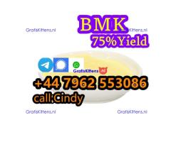 High quality 99% CAS 5449-12-7 BMK Glycidic Acid Sodium Salt Powder