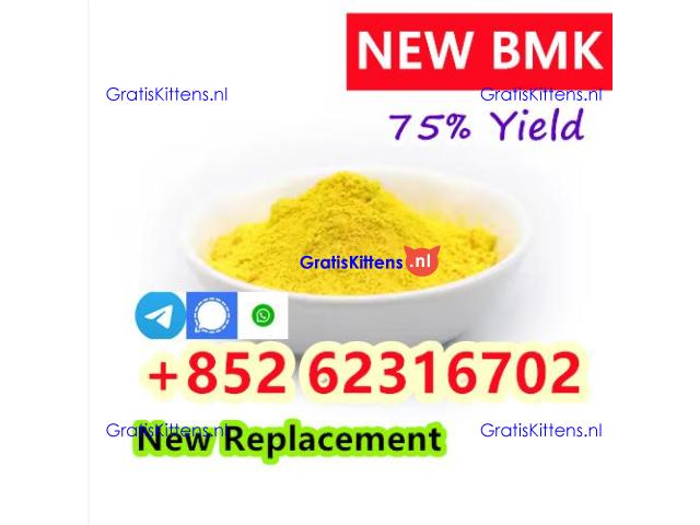 High quality 99% CAS 5449-12-7 BMK Glycidic Acid Sodium Salt Powder