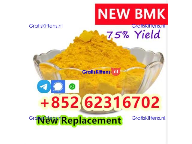 High quality 99% CAS 5449-12-7 BMK Glycidic Acid Sodium Salt Powder