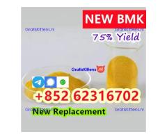 High quality 99% CAS 5449-12-7 BMK Glycidic Acid Sodium Salt Powder