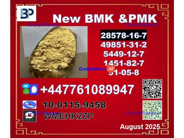 Factory provide free sample BMK powder  5449-12-7 & PMK Glycidate 28578-16-7