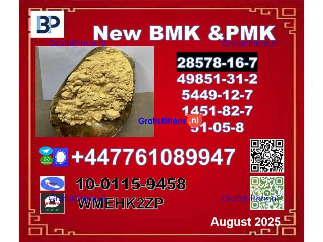 Factory provide free sample BMK powder  5449-12-7 & PMK Glycidate 28578-16-7