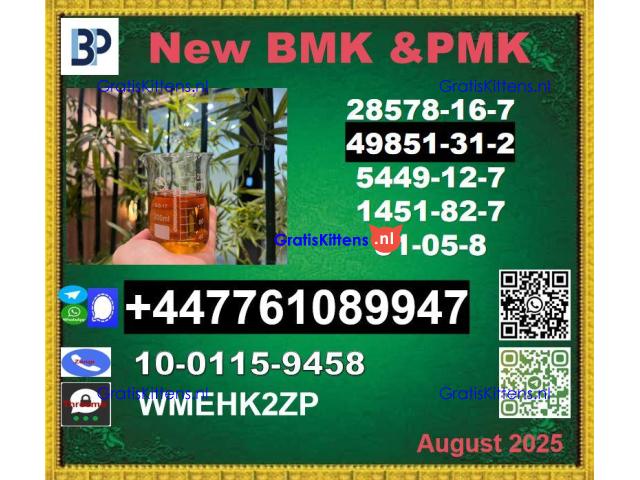 49851-31-2 BVF 2-Bromo-1-Phenyl-Pentan-1-One &BMK 5449-12-7 & PMK 28578-16-7