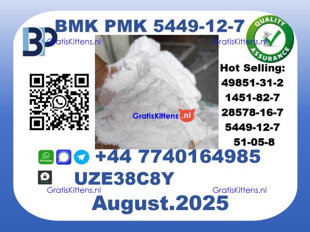 BMK PMK, CAS 5449-12-7-Precision-Sourced for Industry