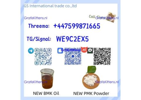PMK 28578-16-7 BMK Powder CAS 5449-12-7