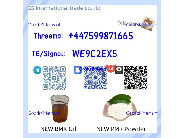 PMK 28578-16-7 BMK Powder CAS 5449-12-7