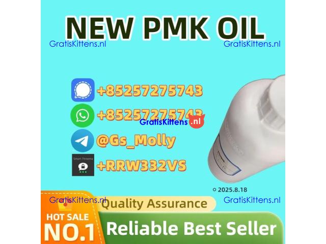 Trusted Supplier of 1451-82-7 Powder | Bulk Supplier | Fast Shipping