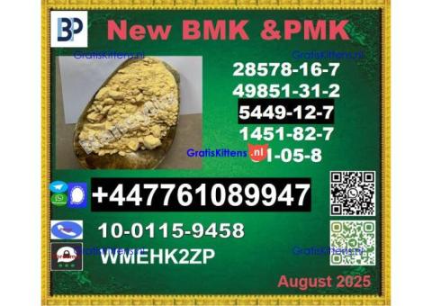 Hot sale new bmk powder BMK 5449-12-7 & PMK Glycidate 28578-16-7 in Netherlands