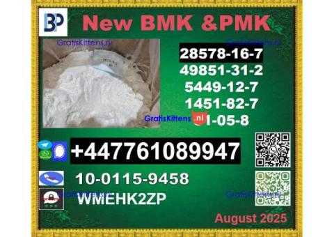 P.M.K 28578-16-7 B.M.K 5449-12-7 Industrial Grade, Ready for Immediate Use