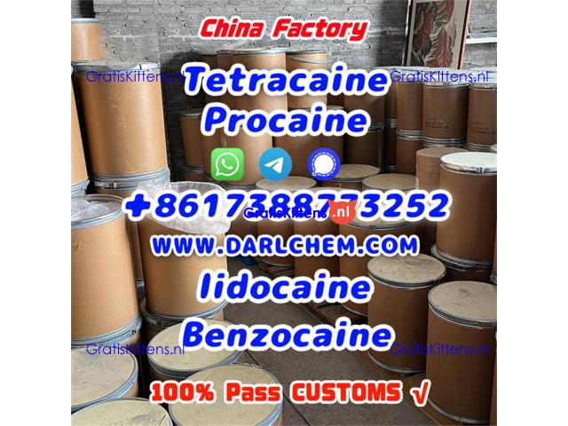 Lidocaine Benzocaine Procaine raw Powder 137-58-6 Top Quality