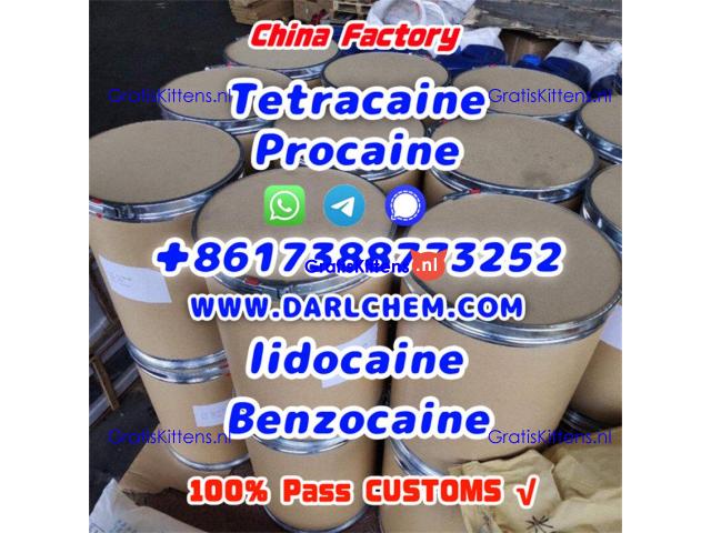 Lidocaine Benzocaine Procaine raw Powder 137-58-6 Top Quality
