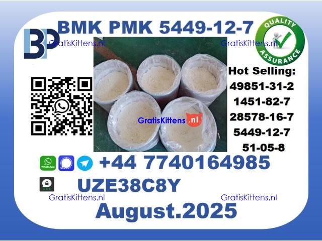 BMK PMK, CAS 5449-12-7 Factory