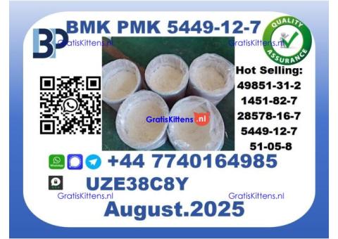 BMK PMK, CAS 5449-12-7 Factory