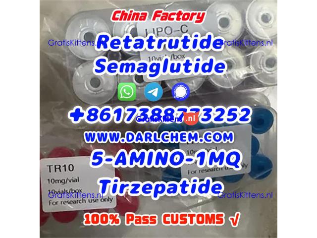 Semaglutide 5-AMINO-1MQ Retatrutide 910463-68-2 Low Price