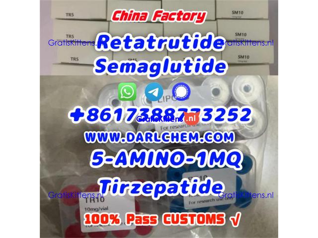 Semaglutide 5-AMINO-1MQ Retatrutide 910463-68-2 Low Price