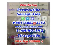 Semaglutide 5-AMINO-1MQ Retatrutide 910463-68-2 Low Price