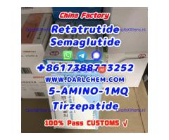 Semaglutide 5-AMINO-1MQ Retatrutide 910463-68-2 Low Price